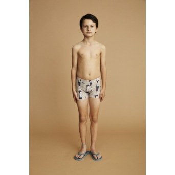  Soft Gallery Don Swim Trunk, AOP Dude / Oxford Tan