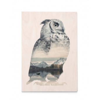  Faunascape Plywood Print OWL SQUARE von WhatWeDo